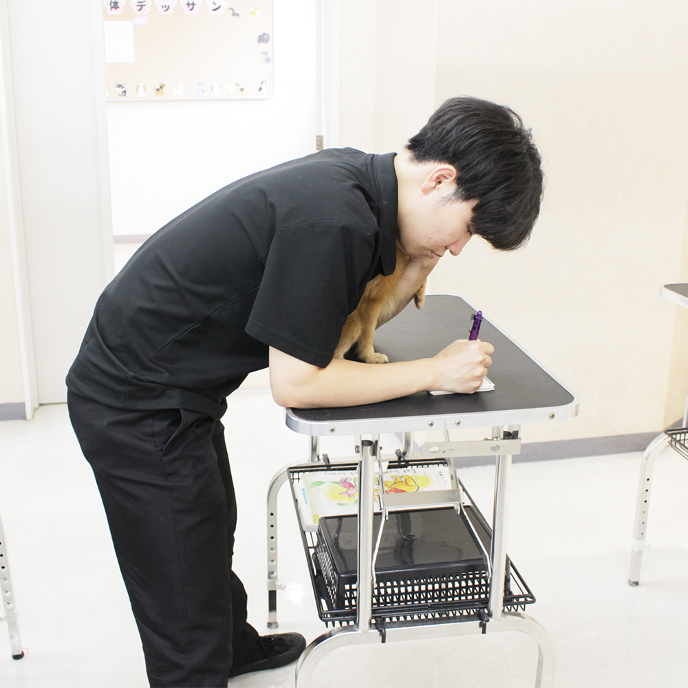 ２年生の動物看護実習